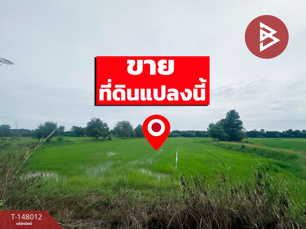 ขายด่วนที่ดิน เนื้อที่ 6 ไร่ 90 ตร.วา โคกสี ขอนแก่น – รูปที่ 2