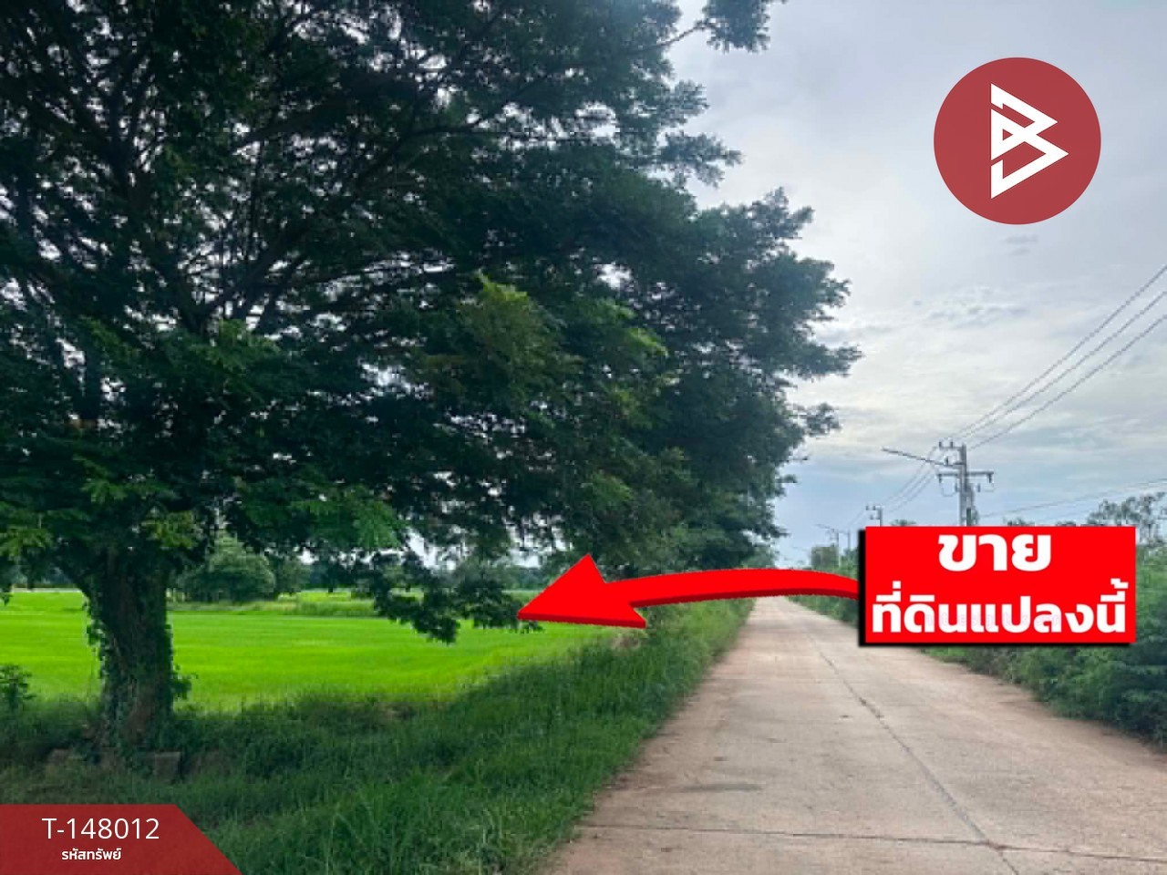 ขายด่วนที่ดิน เนื้อที่ 6 ไร่ 90 ตร.วา โคกสี ขอนแก่น – รูปที่ 3