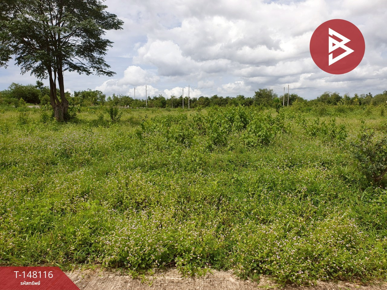 Land for sale, area 3 ngan, Kaeng Krachan, Phetchaburi – รูปที่ 4