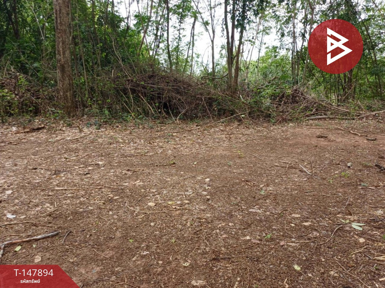 Land for sale, area 8 rai, Taphan Hin, Phichit – รูปที่ 4