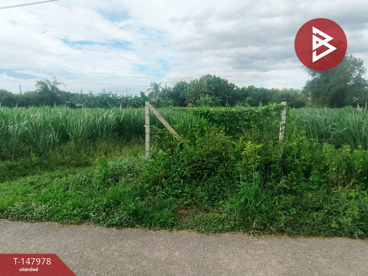Land for sale, area 3 rai 19 sq m, Photharam, Ratchaburi. – รูปที่ 2