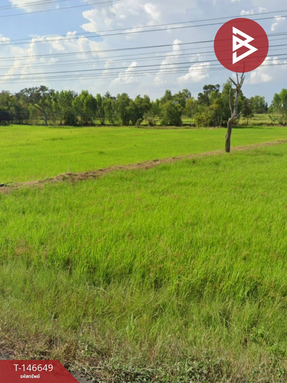 Land for sale, area 10 rai, Phutthaisong, Buriram, location next to the road. – รูปที่ 4