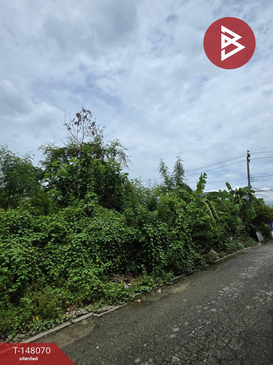 ขายที่ดิน เนื้อที่ 19.5 ตร.วา คลองสามวา กรุงเทพมหานคร – รูปที่ 2