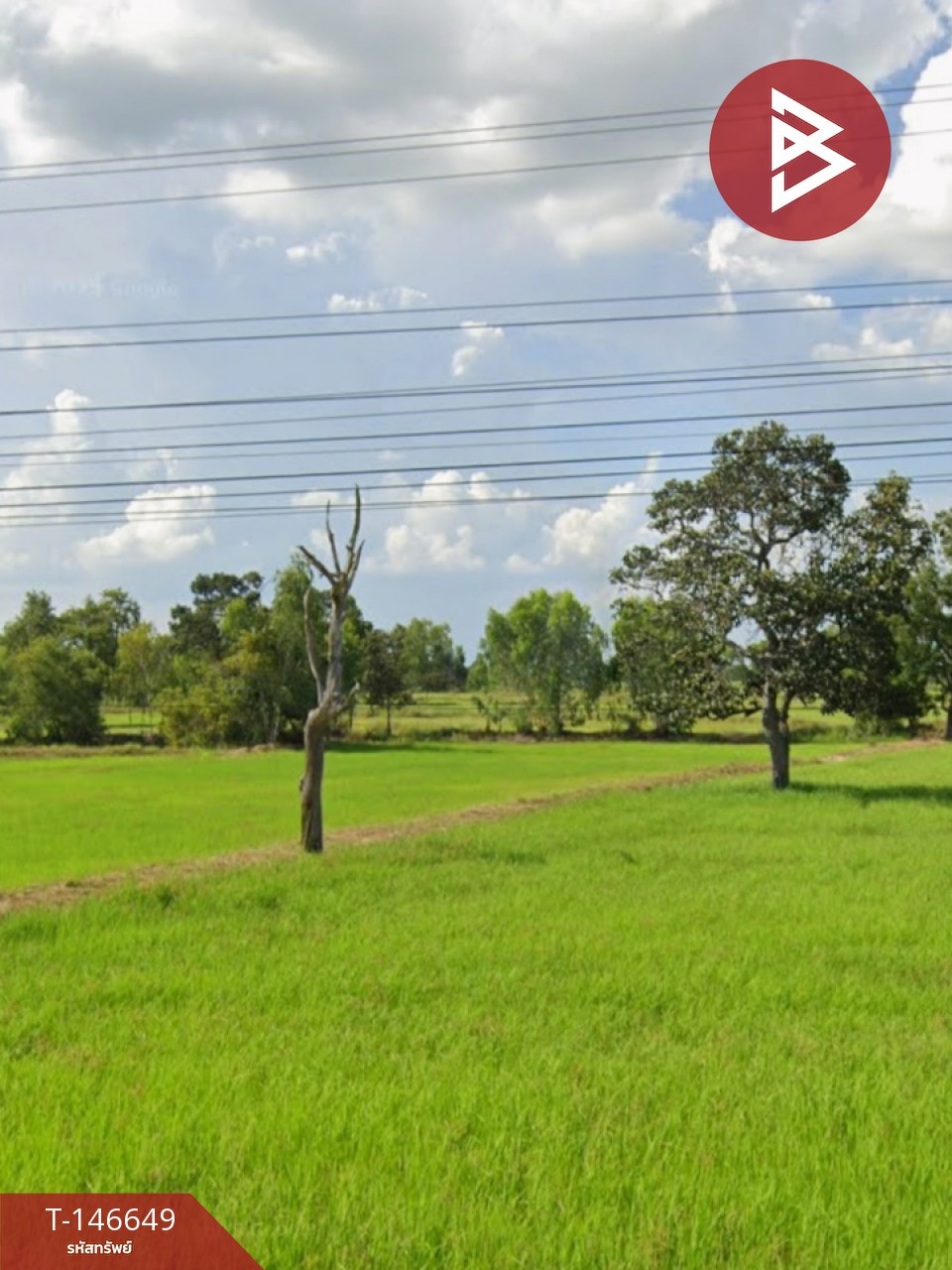 ขายที่ดิน เนื้อที่ 10 ไร่ พุทไธสง บุรีรัมย์ ทำเลีติดถนน ขายที่ดิน เนื้อที่ 10 ไร่ พุทไธสง บุรีรัมย์ ทำเลีติดถนน