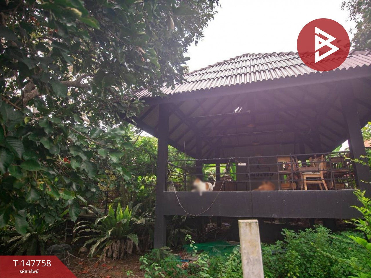 Land for sale with buildings, area 1 ngan 61.1 sq m, Klaeng, Rayong. – รูปที่ 4