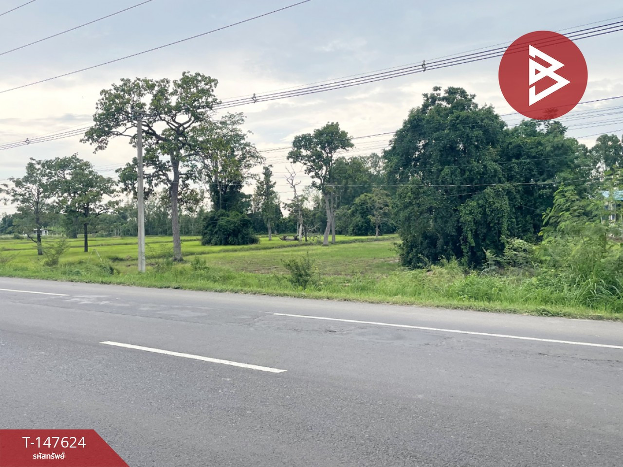 Empty land for sale, area 5 rai 36 square wa, Prakhon Chai, Buriram. – รูปที่ 4