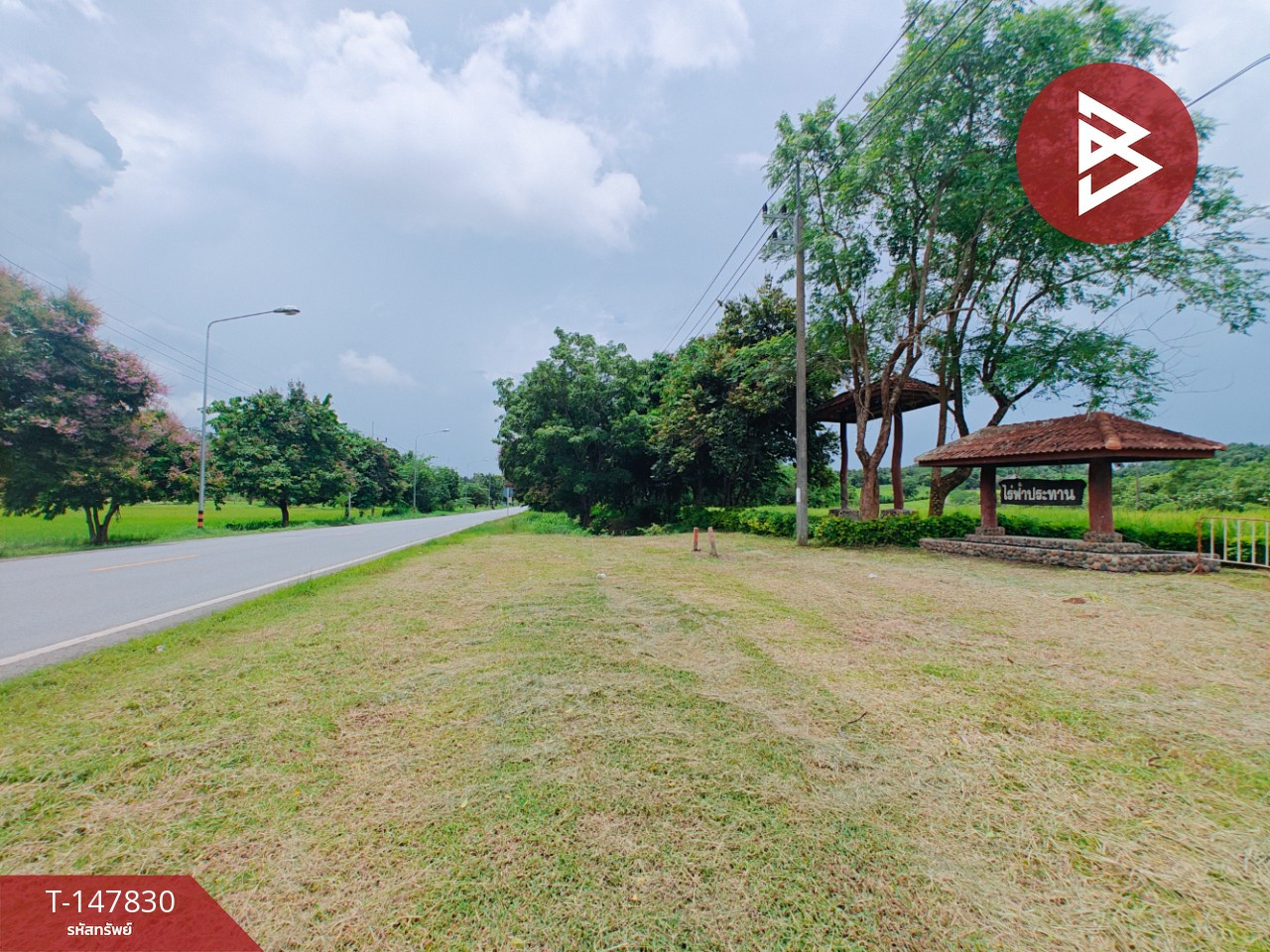 Land for sale/rent, area 12 rai 34 sq m, Thoeng, Chiang Rai Land for sale/rent, area 12 rai 34 sq m, Thoeng, Chiang Rai