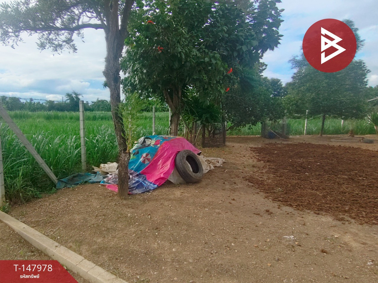 Land for sale, area 3 rai 19 sq m, Photharam, Ratchaburi. – รูปที่ 4