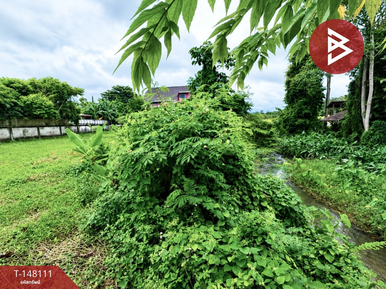 Land for sale, area 2 ngan 19 sq m, Tha Chang, Chanthaburi. – รูปที่ 3