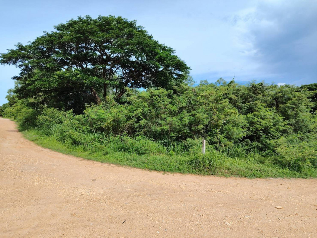 ขายที่ดินประจวบคีรีขันธ์ 1 ไร่ 0 งาน 60 ตร.ว. ใกล้โรงเรียนนานาชาติหัวหิน – รูปที่ 3