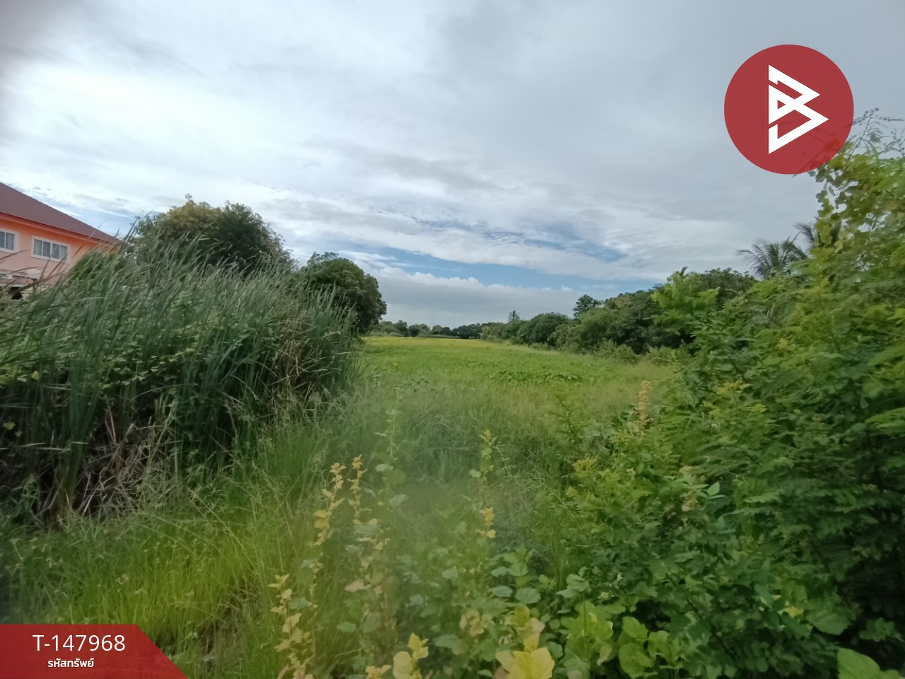 Land for sale, area 13 rai 2 ngan 24 sq m, Phutthamonthon, Nakhon Pathom. – รูปที่ 3