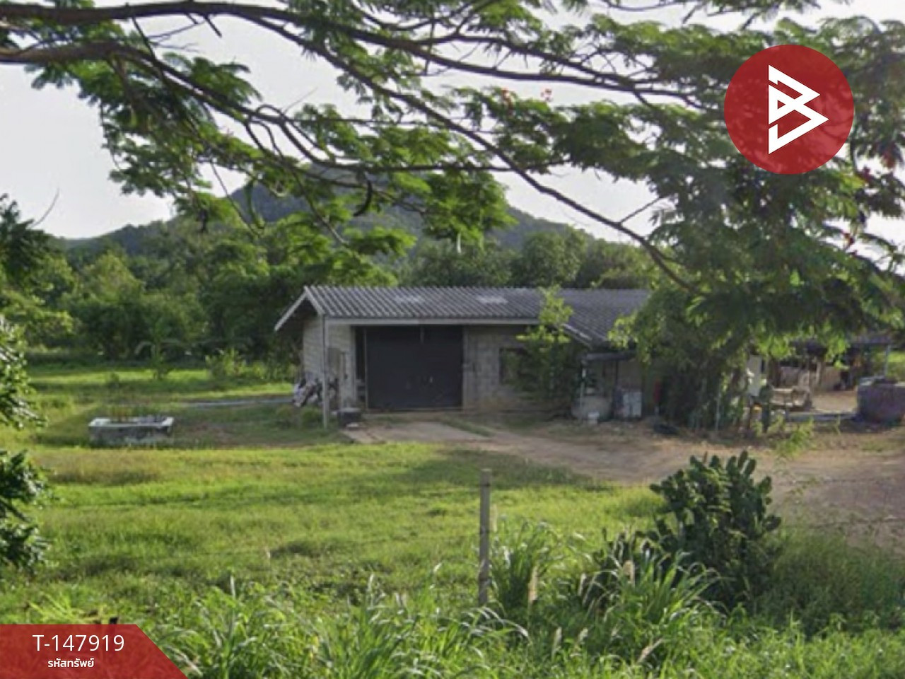 ขายที่ดิน เนื้อที่ 3 ไร่ 3 งาน 86 ตร.วา แก่งกระจาน เพชรบุรี ขายที่ดิน เนื้อที่ 3 ไร่ 3 งาน 86 ตร.วา แก่งกระจาน เพชรบุรี