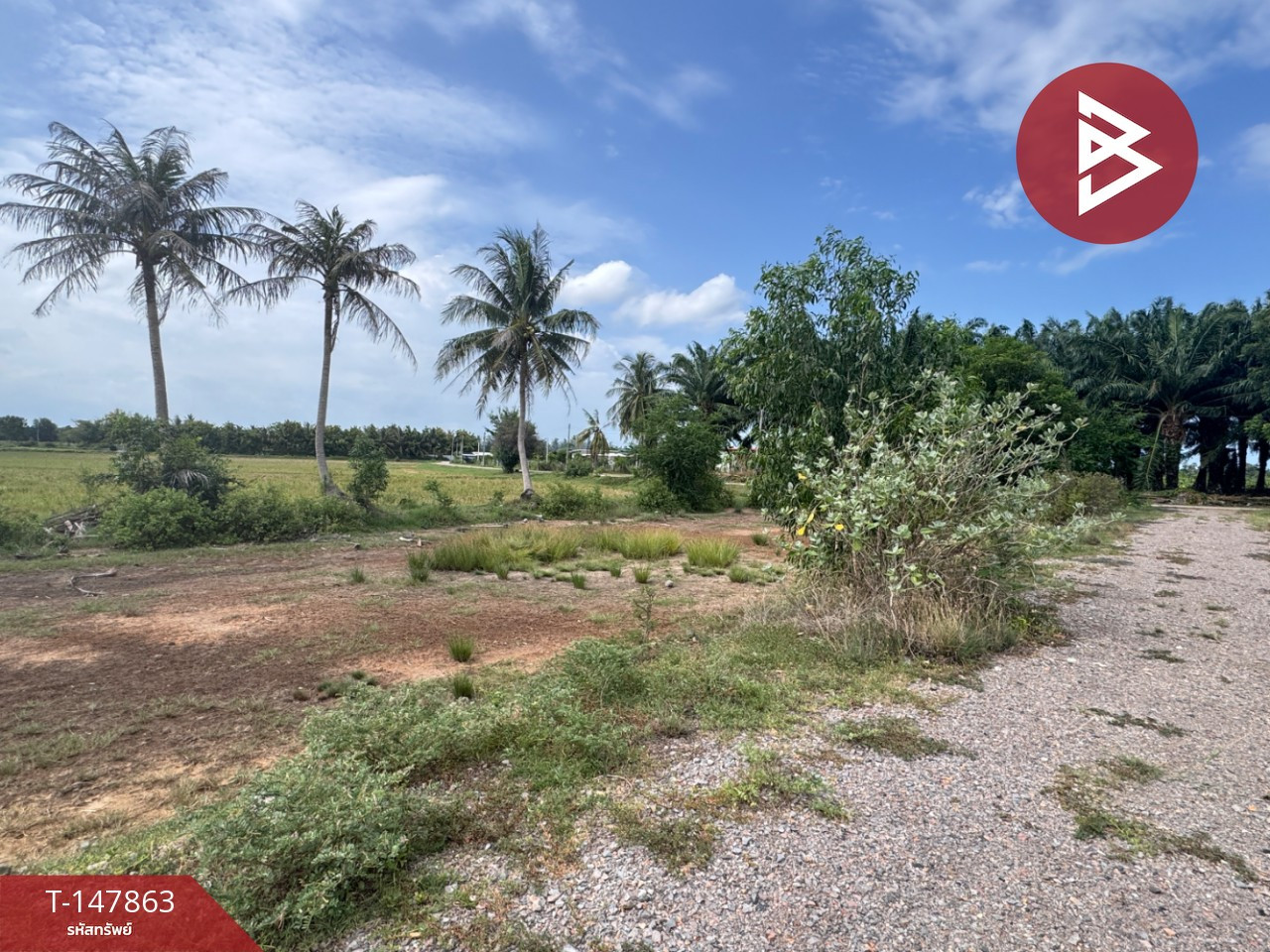 ขายที่ดิน เนื้อที่ 2 งาน 45.7 ตร.วา ท่ายาง เพชรบุรี – รูปที่ 4