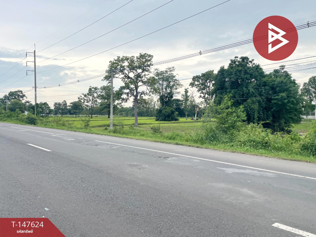 Empty land for sale, area 5 rai 36 square wa, Prakhon Chai, Buriram. – รูปที่ 2