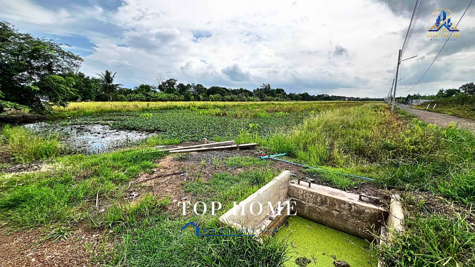 🔥 **Urgent sale! Land 1 rai 54.2 sq m., Nong Suea, Pathum Thani** 🔥✨ 📍 **Next to the road along Khlong Ann between Khlong 10–11** 📜 **Red Garuda title deed Ready to transfer ownership** – รูปที่ 4