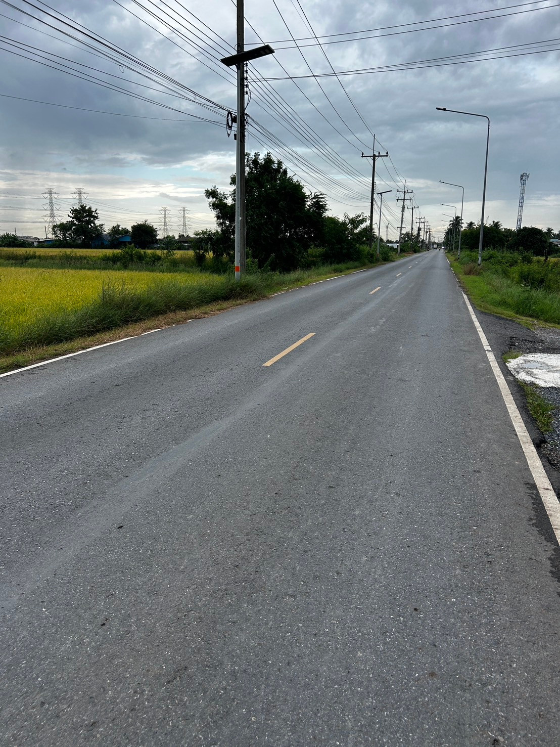 ที่ดินคลอง8 ลำลูกกา หลังวัดดอนใหญ่ – รูปที่ 3