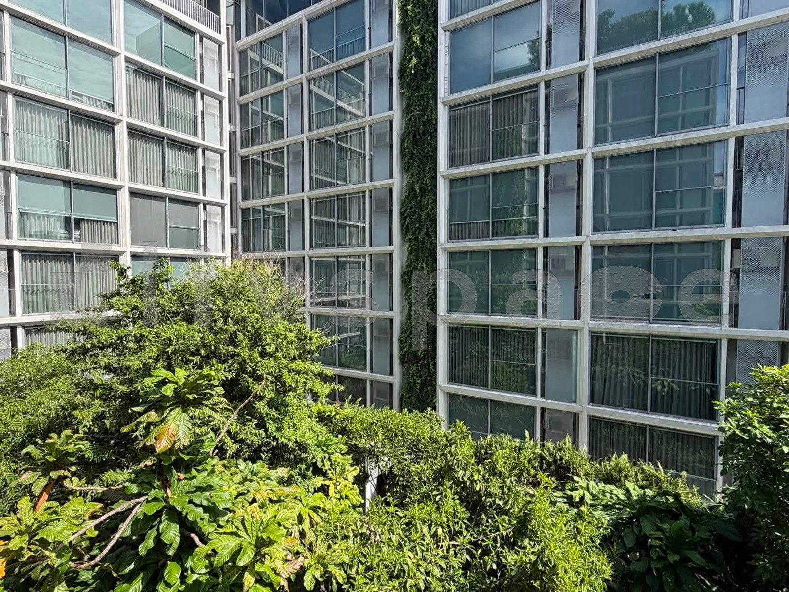 ▚ L06CMCツ FOR RENT: SCOPE Promsri Studio 28sqm Garden View Pet-Friendly Lowest Price in Market✨ – รูปที่ 4