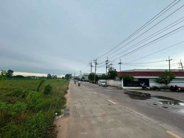 ขายที่ดิน 77 ไร่ บึง ศรีราชา ทำเล EEC ใกล้มอเตอร์เวย์ ใกล้นิคมปิ่นทอง 