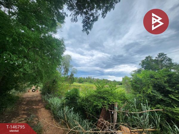 Land for sale, area 36 rai 2 ngan 30 sq m, Suan Phueng, Ratchaburi.