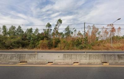 For Sale Khon Kaen Land, 198-0-73 Rai, Located on Road No. 2131, Near Ban Wa Subdistrict Municipality