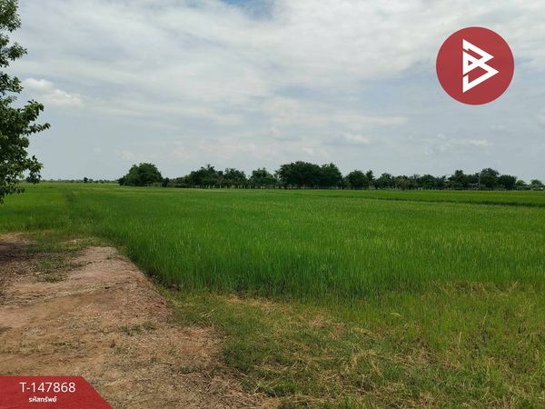Rice field land for sale, area 5 rai 1 ngan 6.1 sq m, next to the main road 324 U Thong-Kanchanaburi.