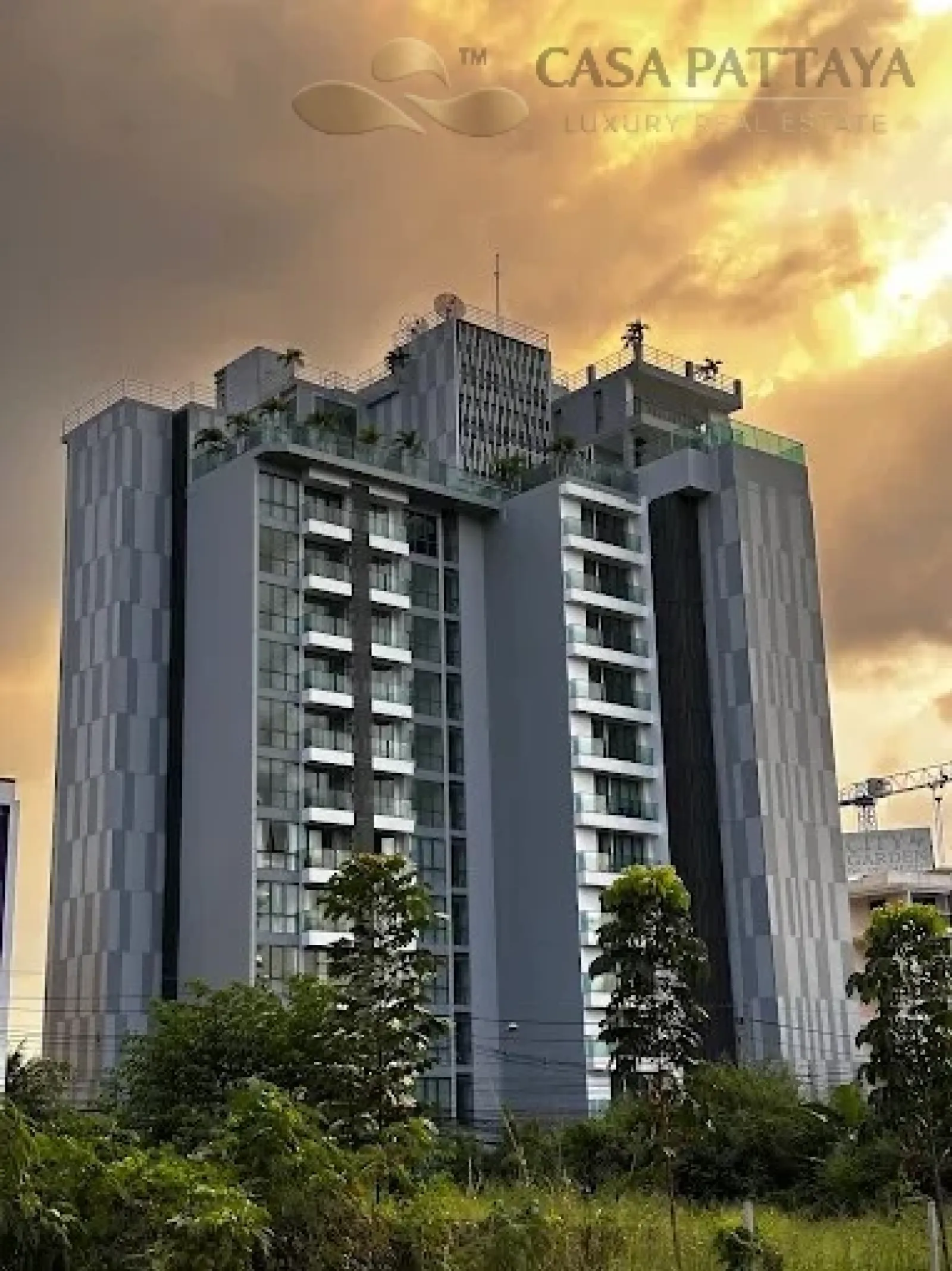 Condo For Sale with Tenant: The Point Pratumnak Condominium