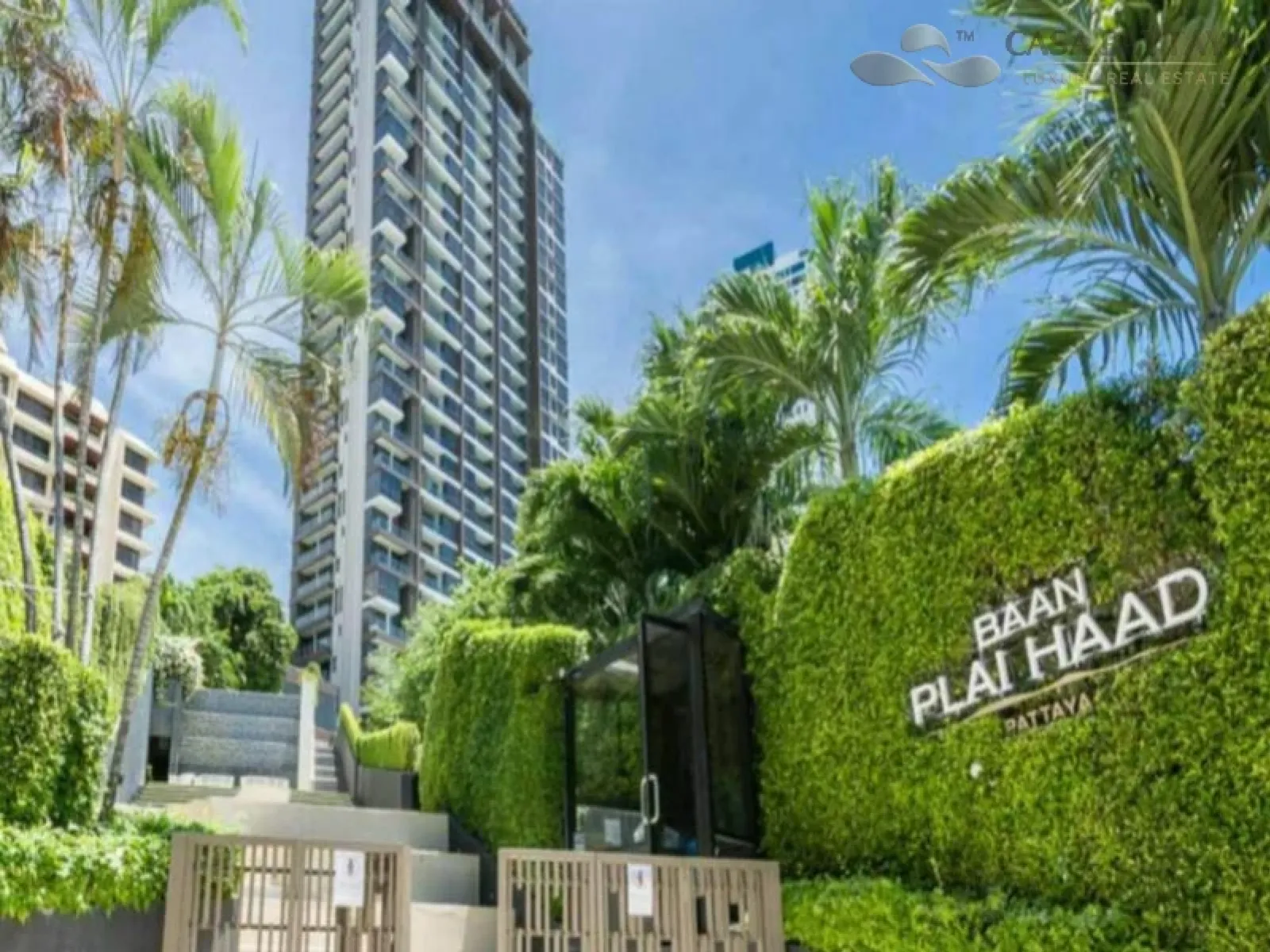 Condo for Sale: Baan Plai Haad Wongamat (Panoramic Sea View) Condo for Sale: Baan Plai Haad Wongamat (Panoramic Sea View)
