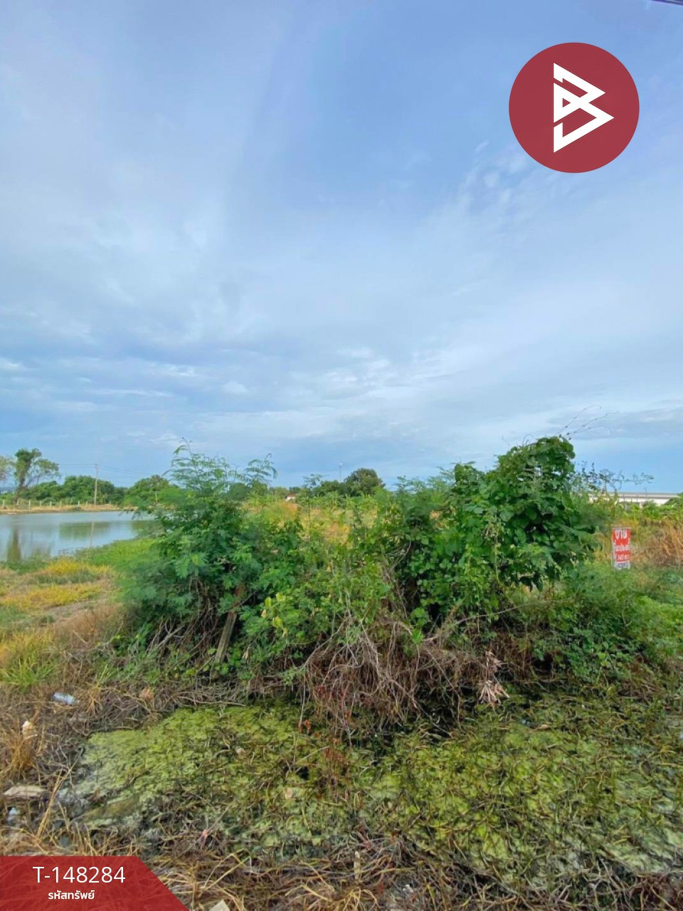 ขายที่ดิน เนื้อที่ 1 ไร่ 3 งาน 47.5 ตร.วา บางบ่อ สมุทรปราการ – รูปที่ 3