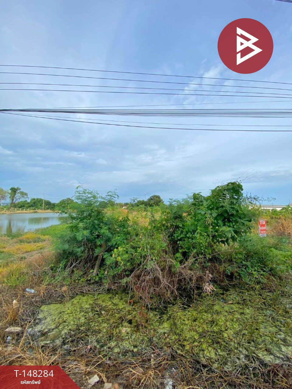 ขายที่ดิน เนื้อที่ 1 ไร่ 3 งาน 47.5 ตร.วา บางบ่อ สมุทรปราการ – รูปที่ 2