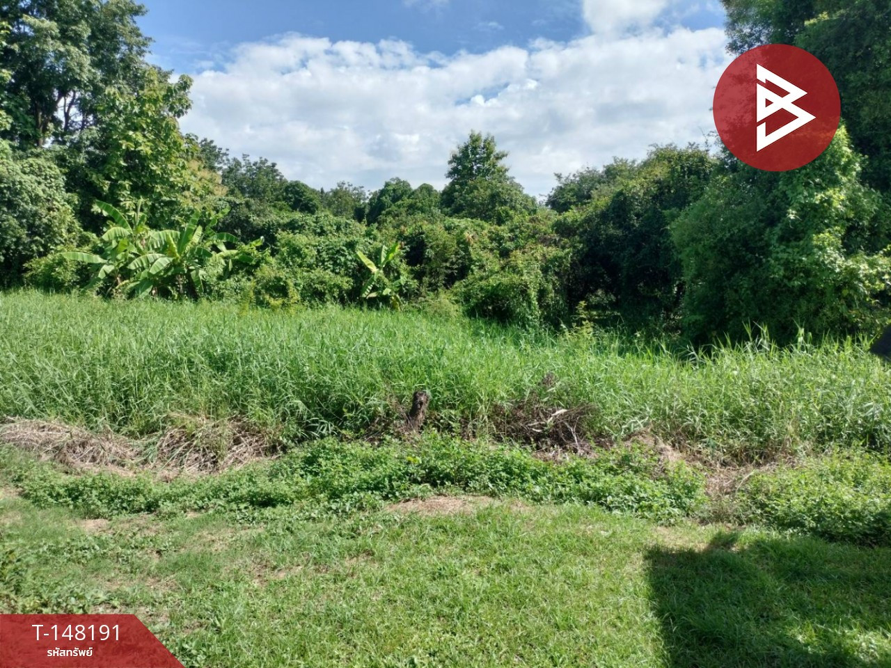 Beautiful plot of land for sale, area 3 ngan, 43.8 square meters, Wang Phikun, Phitsanulok. – รูปที่ 4