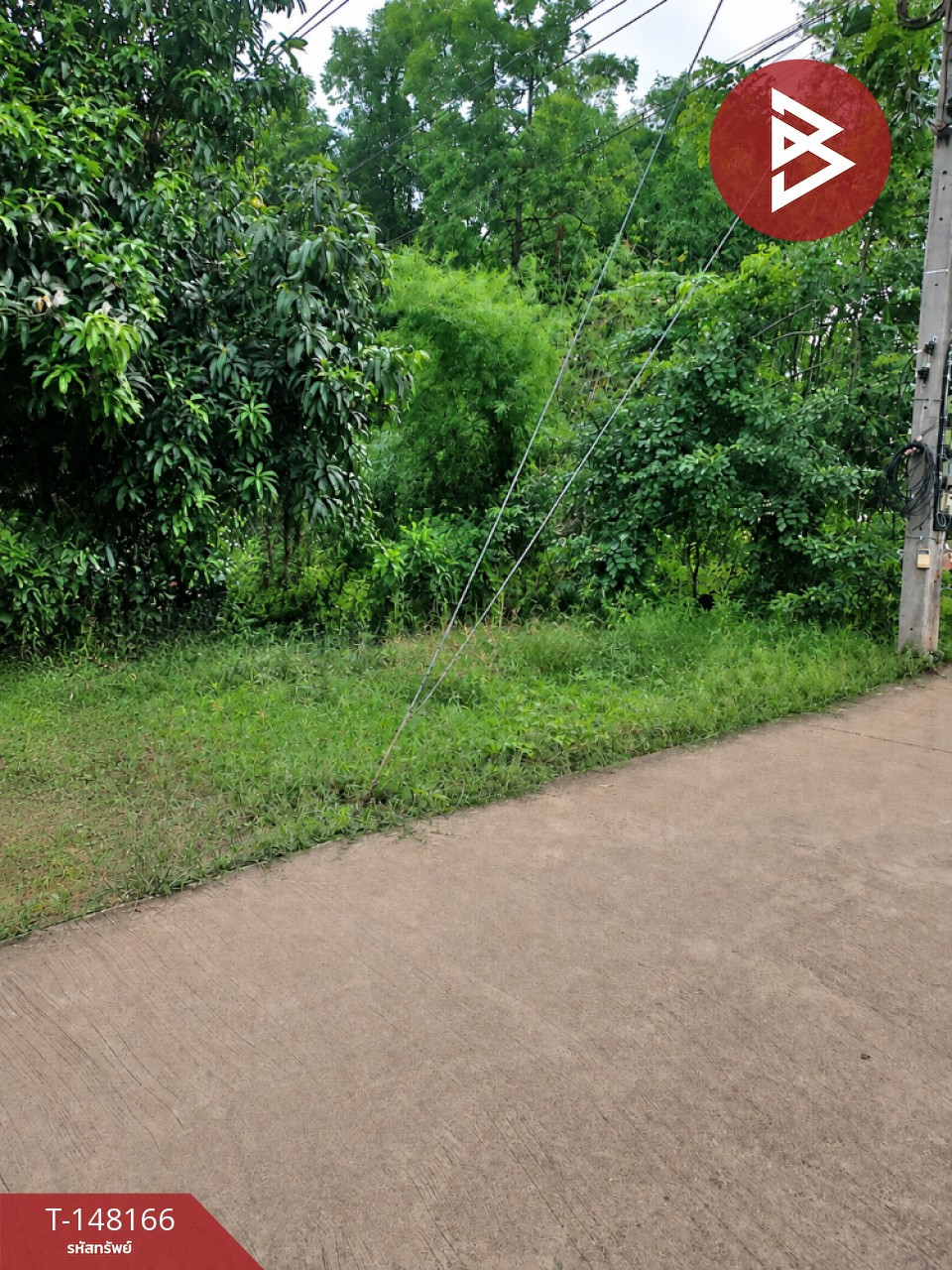 ขายที่ดิน เนื้อที่ 3 ไร่ 2 งาน 21.5 ตารางวา ตะพานหิน จ.พิจิตร ติดแม่น้ำน่าน – รูปที่ 2