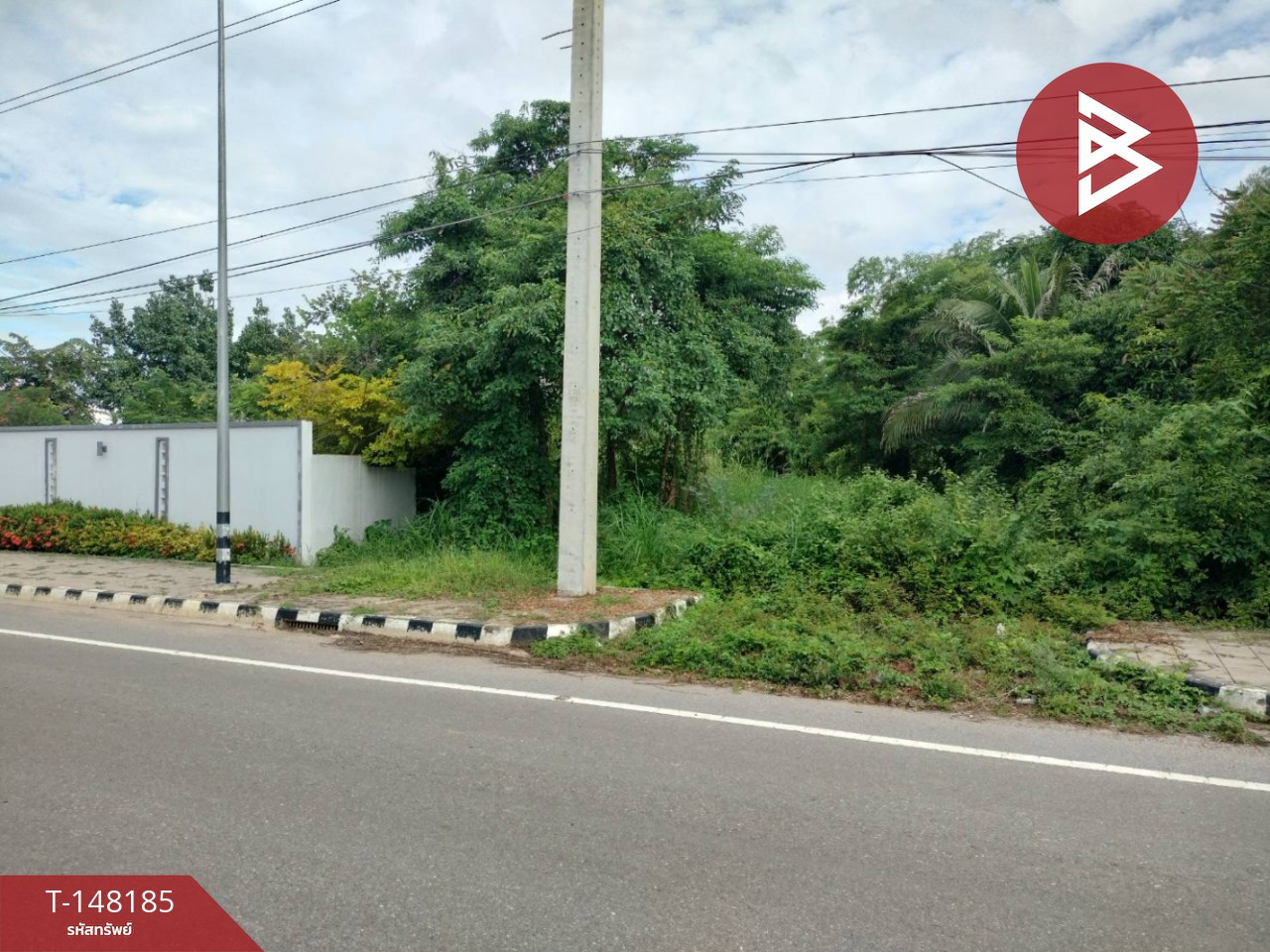  ขายที่ดิน เนื้อที่ 3 งาน 3 ตร.วา ติดถนนเส้นมะขามสูง พิษณุโลก – รูปที่ 2