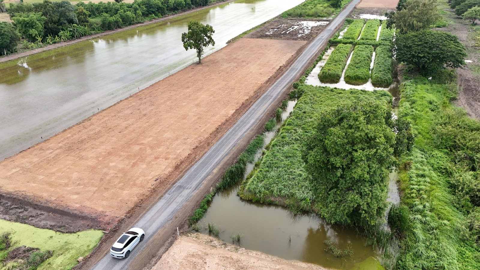 Land Khlong 6, Khlong Luang, Pathum Thani, filled in, 100 sq m., 540,000 – รูปที่ 4