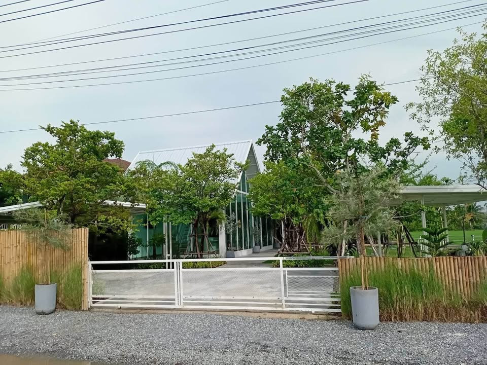 🟢 Open PRE-BOOKING for rent, 4 resort-style houses in the middle of rice fields on an area of ​​half a rai (can live in + can do business + can raise animals) | Ratchaphruek location – 345 (near Robinson Lifestyle Ratchaphruek)