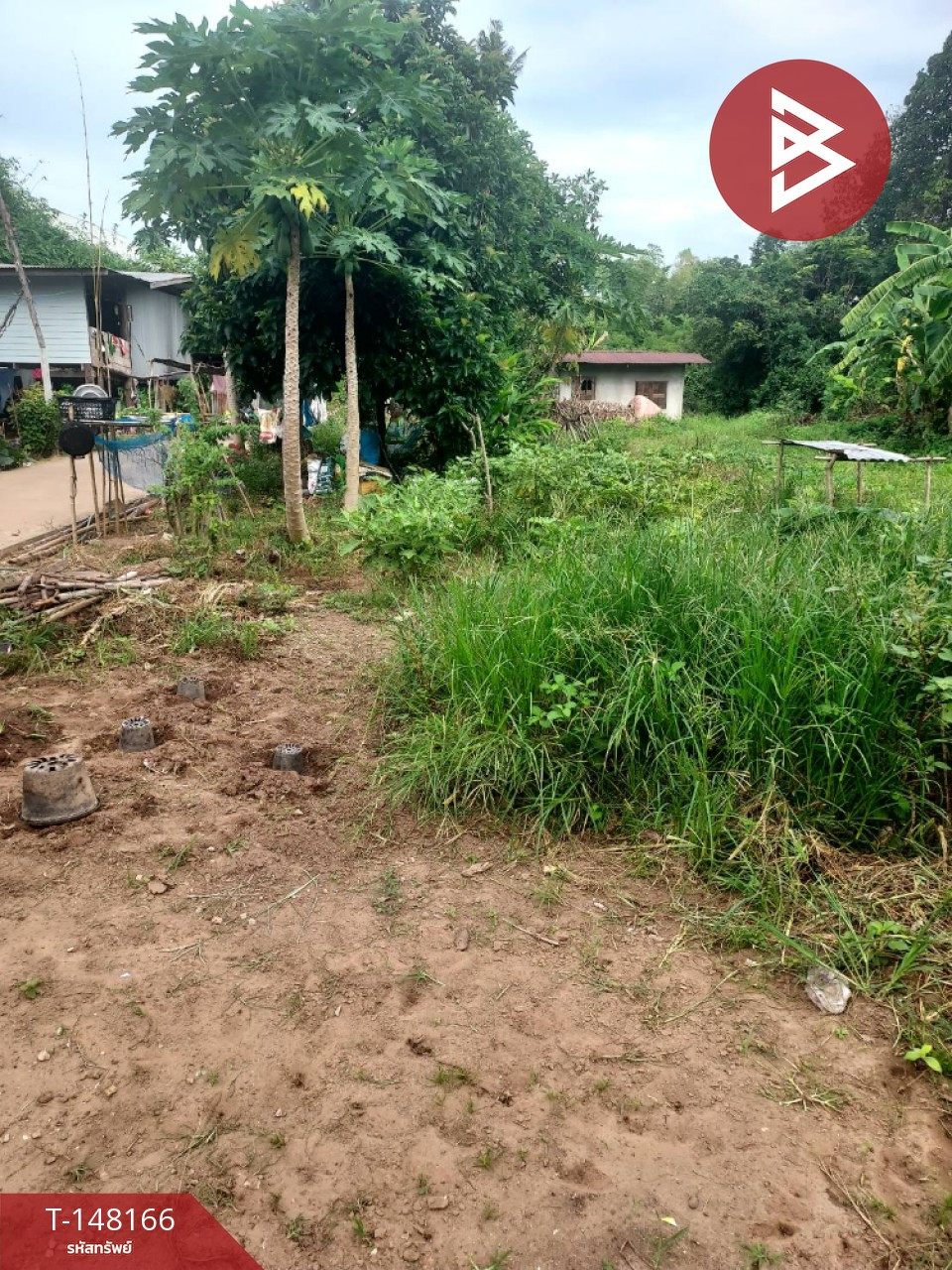 Land for sale, area 3 rai 2 ngan 21.5 square wah, Taphan Hin, Phichit Province, next to the Nan River. Land for sale, area 3 rai 2 ngan 21.5 square wah, Taphan Hin, Phichit Province, next to the Nan River.