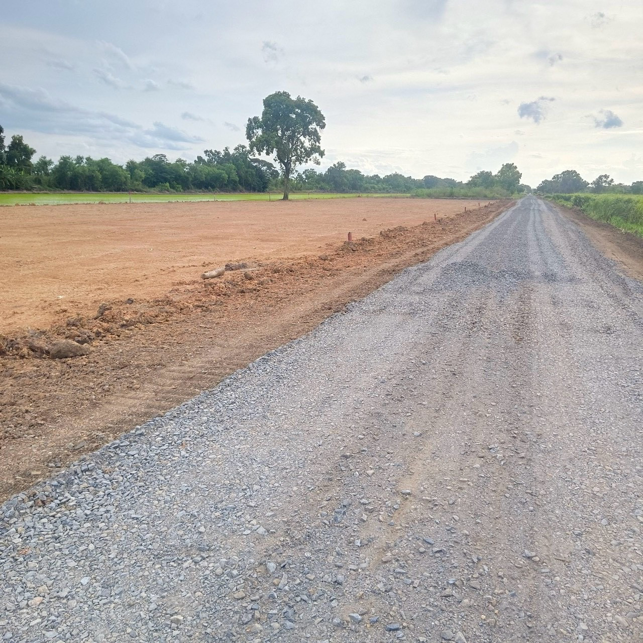 Land Khlong 6, Khlong Luang, Pathum Thani, filled in, 100 sq m., 540,000 – รูปที่ 3