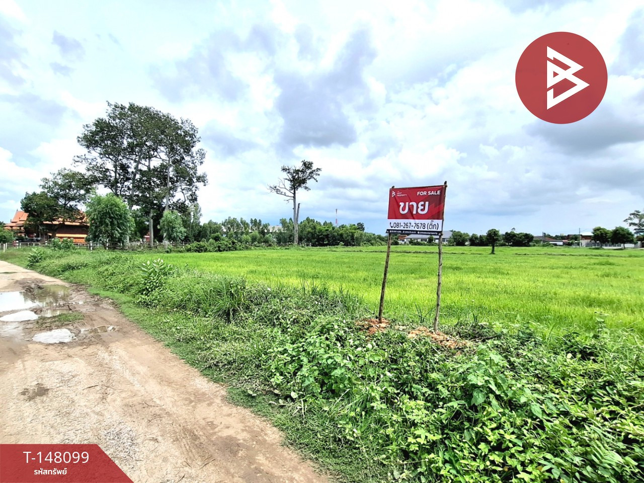 Land for sale, area 8 rai 2 ngan 25 square wah, near Kanchana Village, around the city of Roi Et. – รูปที่ 2