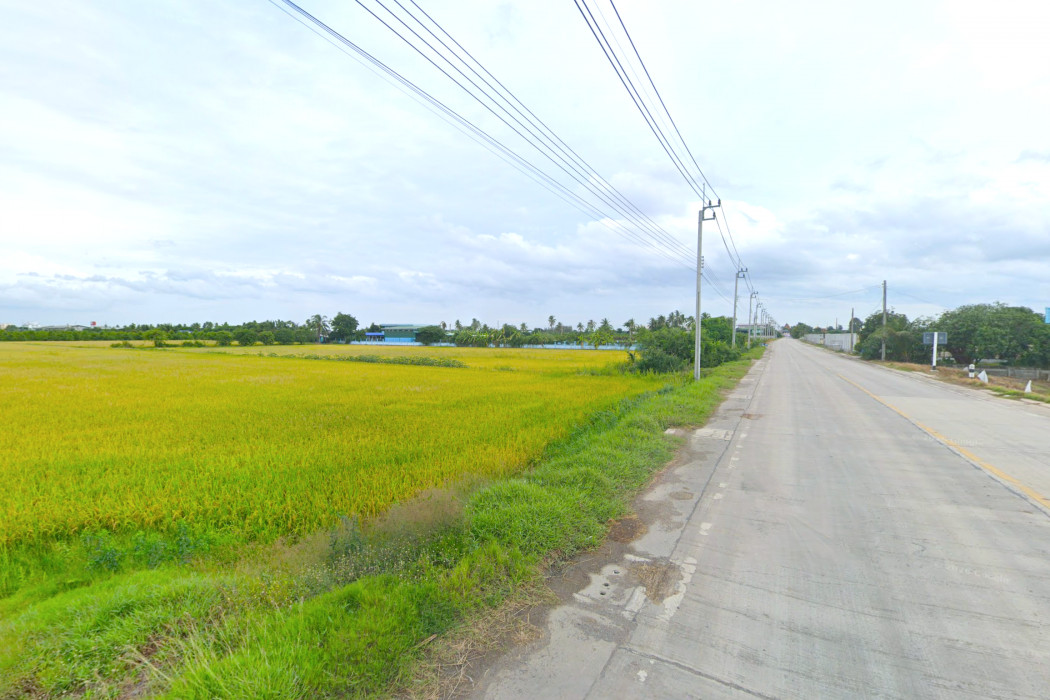 ขาย ที่ดิน ริมถนน นบ.3015 ไทรใหญ่ 9 ไร่ ผังสีม่วง เหมาะทำโรงงาน โกดัง DD