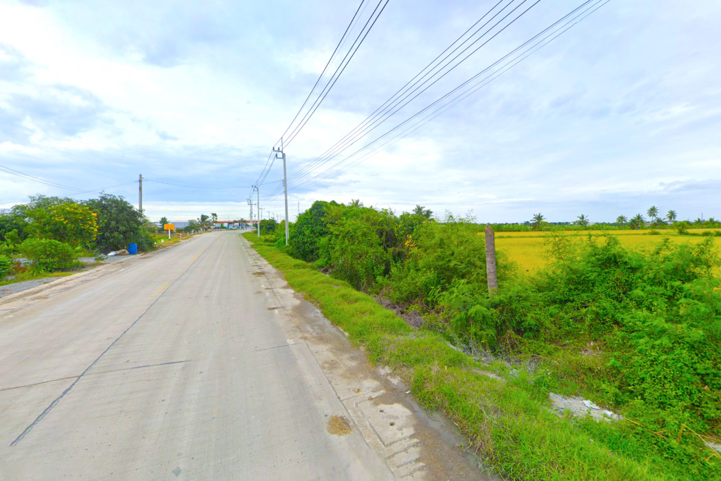 ขาย ที่ดิน ริมถนน นบ.3015 ไทรใหญ่ 9 ไร่ ผังสีม่วง เหมาะทำโรงงาน โกดัง DD – รูปที่ 4
