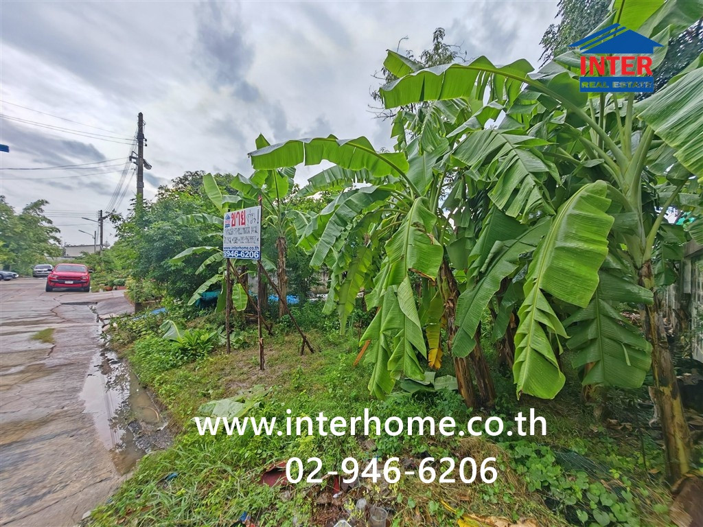 ที่ดินเปล่า 97 ตร.ว. ที่ดิน หมู่บ้านมหามกุฏ ถนนบรมราชชนนี ถนนพุทธมณฑลสาย5 พุทธมณฑล นครปฐม – รูปที่ 4