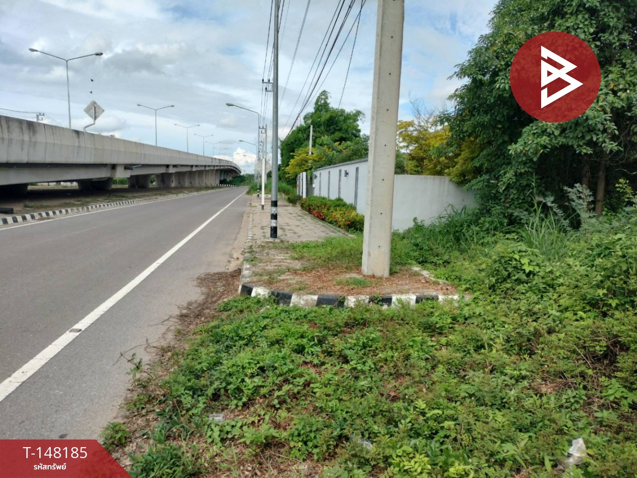  ขายที่ดิน เนื้อที่ 3 งาน 3 ตร.วา ติดถนนเส้นมะขามสูง พิษณุโลก – รูปที่ 3