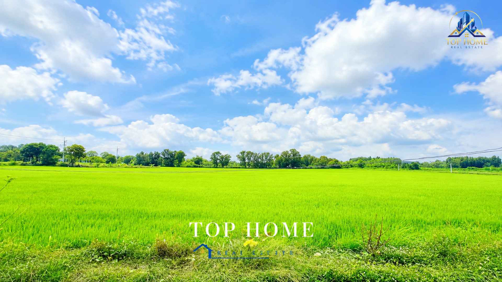 🔥Urgent sale! Land 3 rai 46.6 sq m. Nong Suea, Khlong 10, Pathum Thani🔥 📍Large plot, potential location | Pink city plan | Red Garuda title deed | Ready to transfer ownership – รูปที่ 2