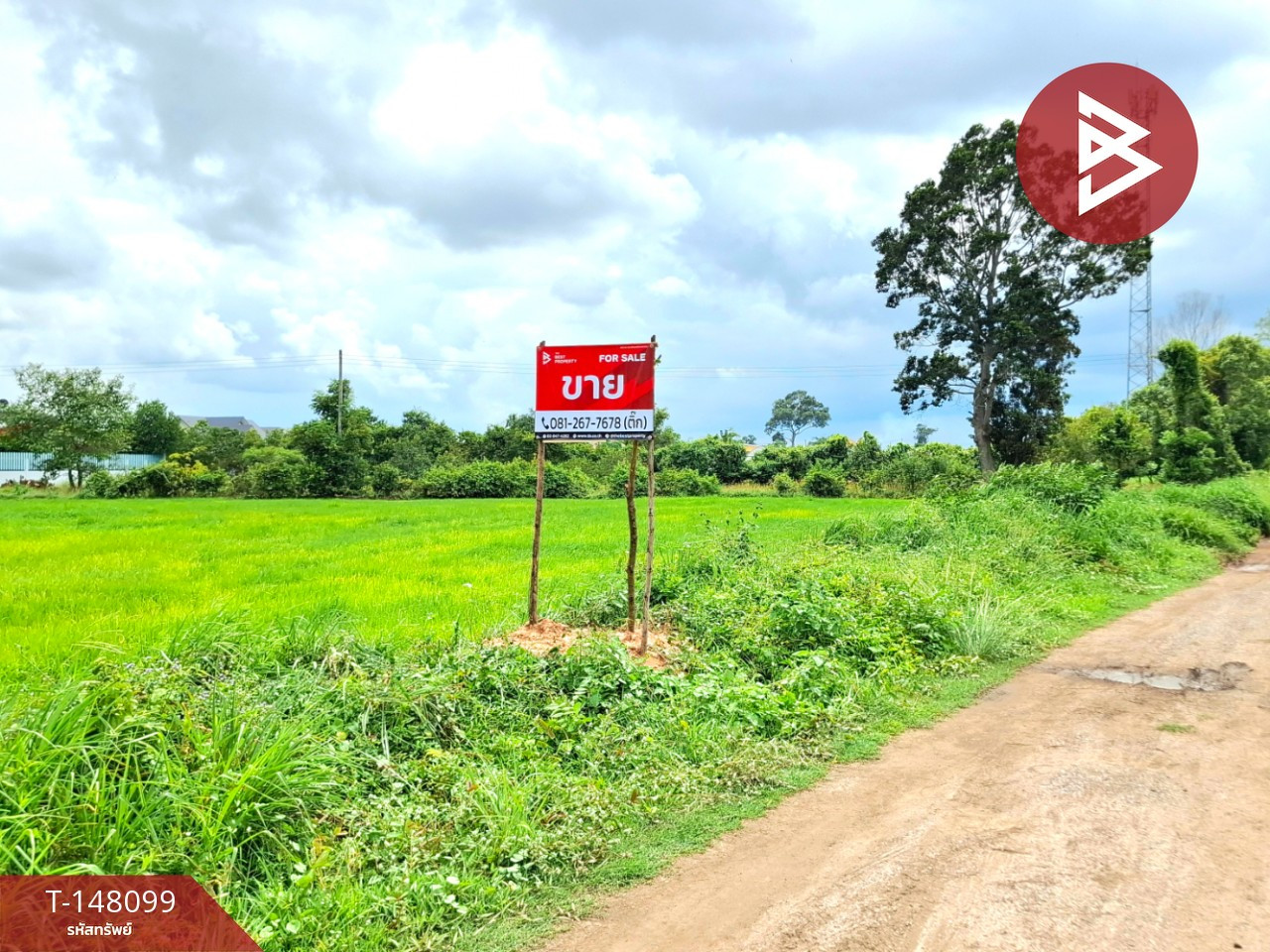 Land for sale, area 8 rai 2 ngan 25 square wah, near Kanchana Village, around the city of Roi Et. – รูปที่ 3