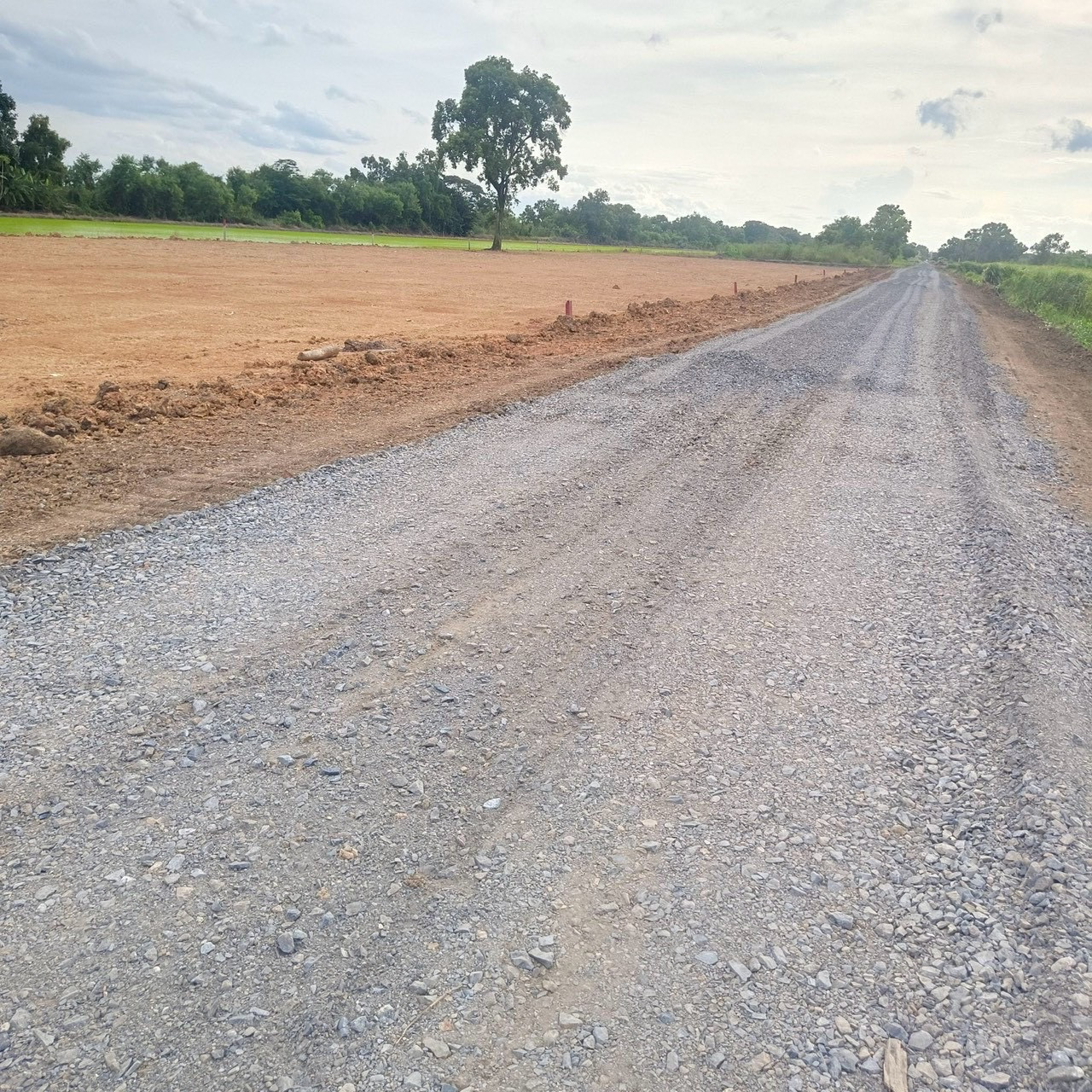 Land Khlong 6, Khlong Luang, Pathum Thani, filled in, 100 sq m., 540,000 – รูปที่ 2