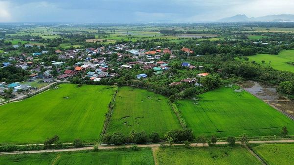 Rice field 7-3-08 rai, near the village and Ban Klap train station, Ban Klap Subdistrict, Nong Don District, Saraburi Province.