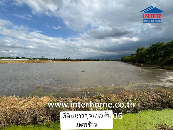 Vacant land 10 rai 163 sq m. Beautiful plot of land for sale, potential location, Nonthaburi, near I am Bean Roasting Loft (Sai ​​Noi), next to Pathum Thani-Bang Len Road, Sai Noi, Nonthaburi.