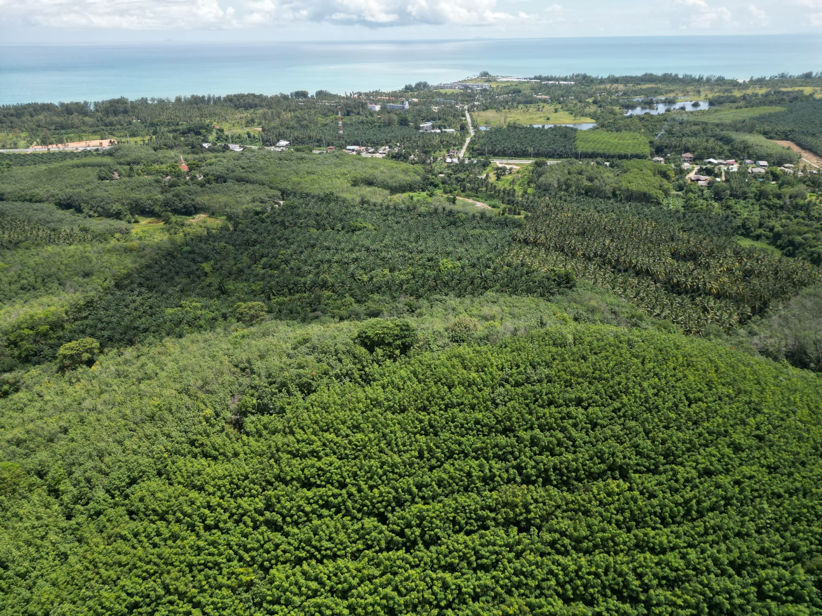 51-Rai Mountain Land with Sea Views for Sale | Near Bang Sak Beach, Takua Pa, Phang Nga
