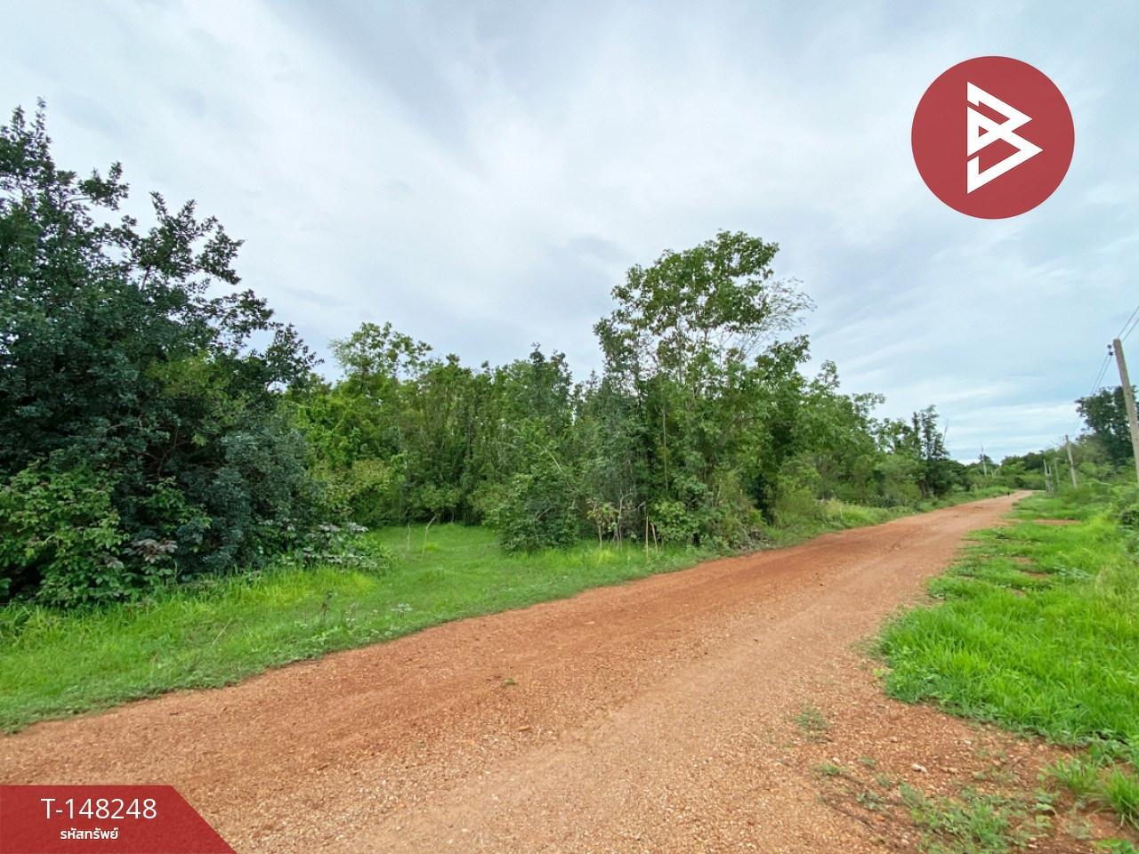 Land for sale, area 1 rai 69 square wa, U Thong, Suphanburi. – รูปที่ 3
