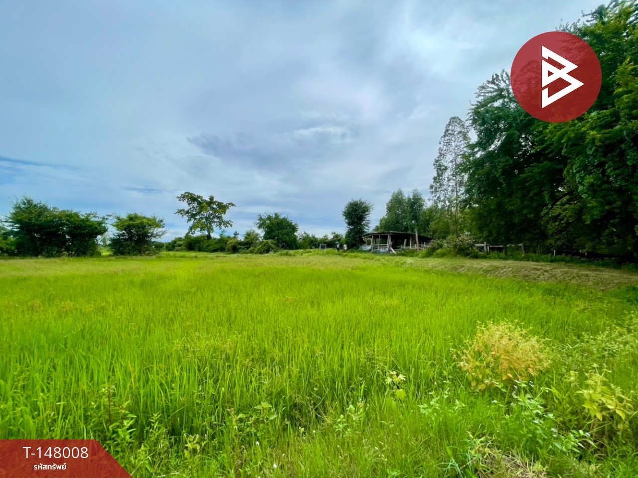 ขายที่ดิน เนื้อที่ 3 ไร่ 14.7 ตร.วา อ.บ้านไผ่ จ.ขอนแก่น บรรยากาศบ้านสวน ติดคลองน้ำสาธารณะ – รูปที่ 4