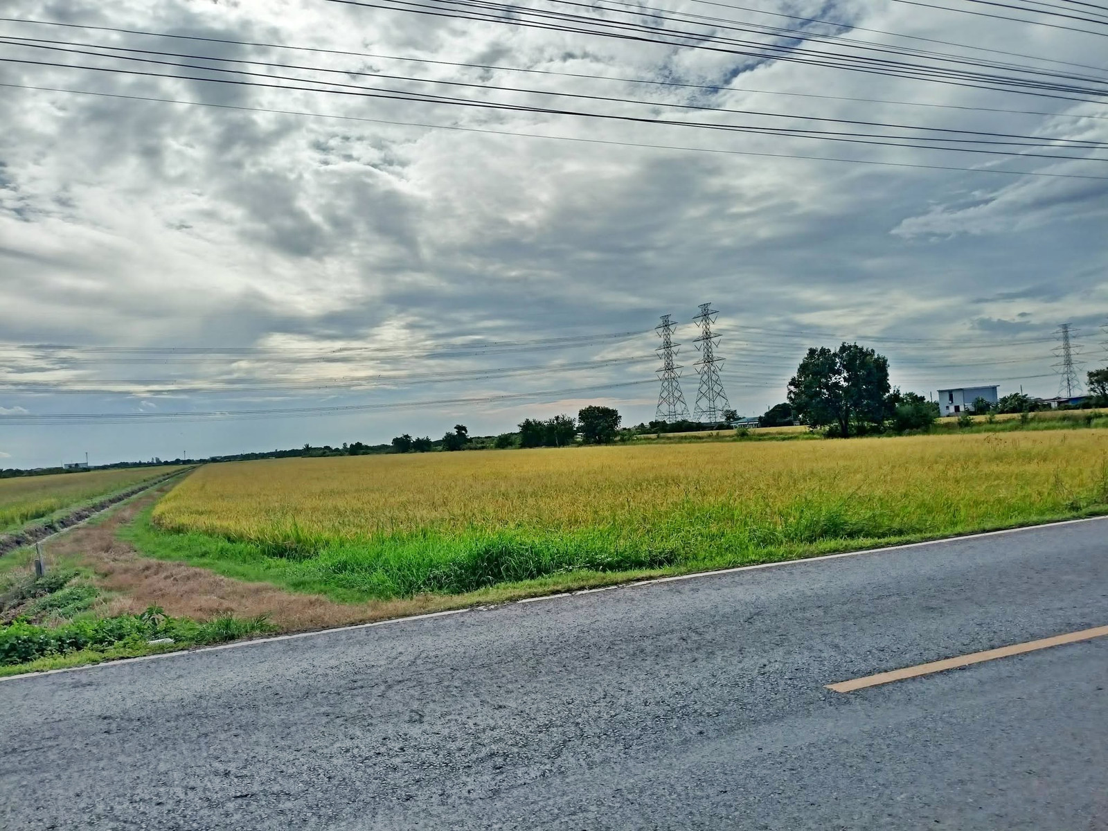 #Land in a very beautiful location, next to the main road behind Wat Don Yai, Lam Luk Ka. Land in a good location behind Wat Don Yai, Lam Luk Ka, Khlong 8, Pathum Thani T.062-1574449 – รูปที่ 3